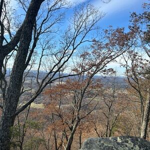 Meet your Posher, Avery